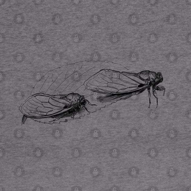 Cicadas Ink Drawing by Fireside Press